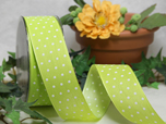 Point - Geschenkband