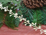 Caprice - Weihnachten
