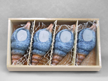 Muschel - Schnecke 4 Stück in Holzbox