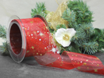 Sternengucker -Weihnachtsband