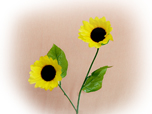 Sonnenblume mit 2 Blüten