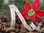 Christmas Evening - Weihnachtsband